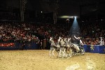 Extreme - 00943